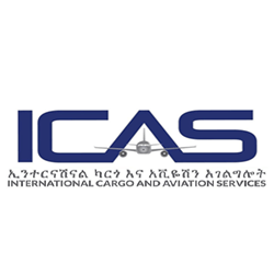 INTERNATIONAL CARGO AND AVIATION SERVICE PLC