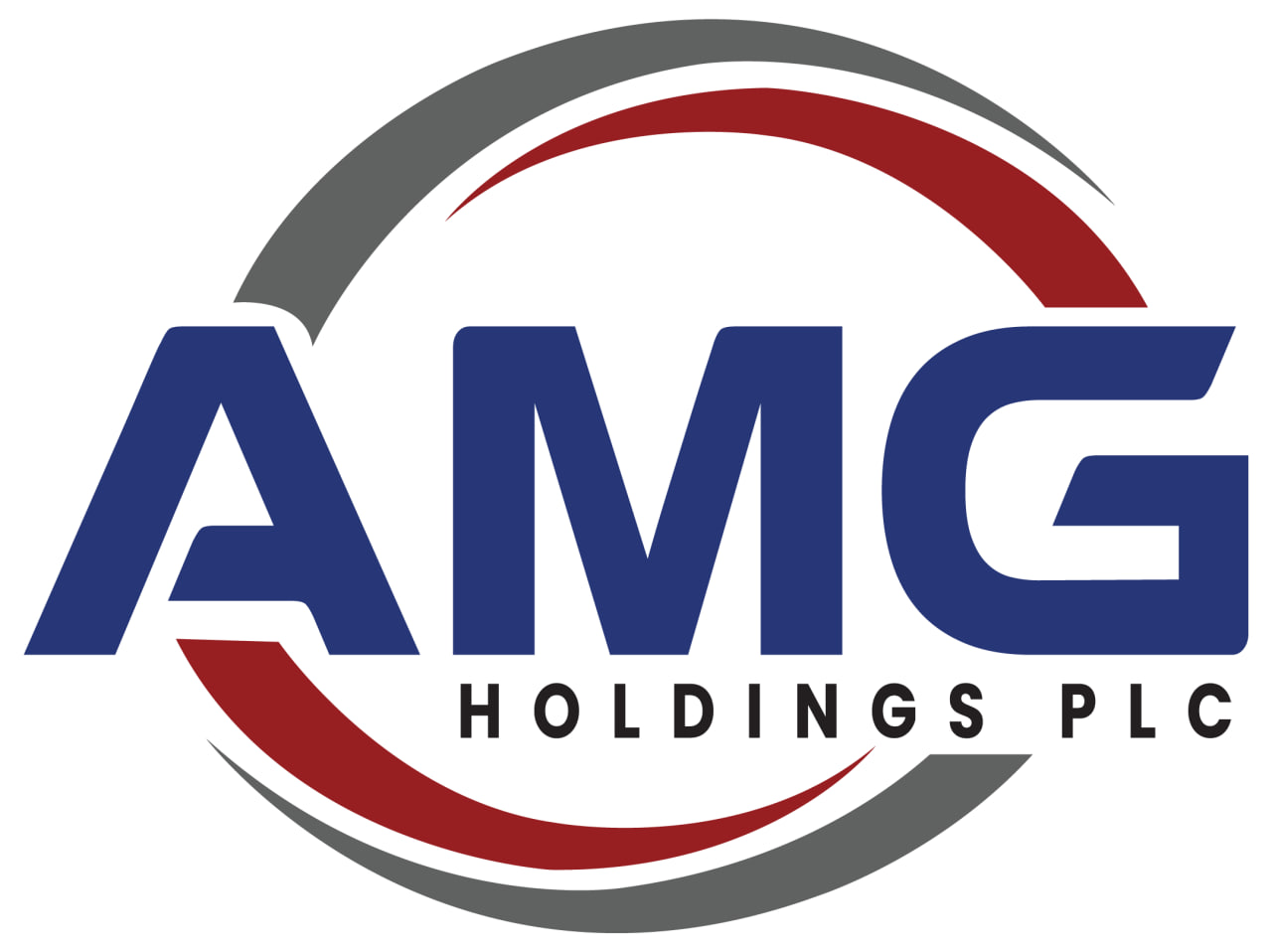 AMG HOLDINGS